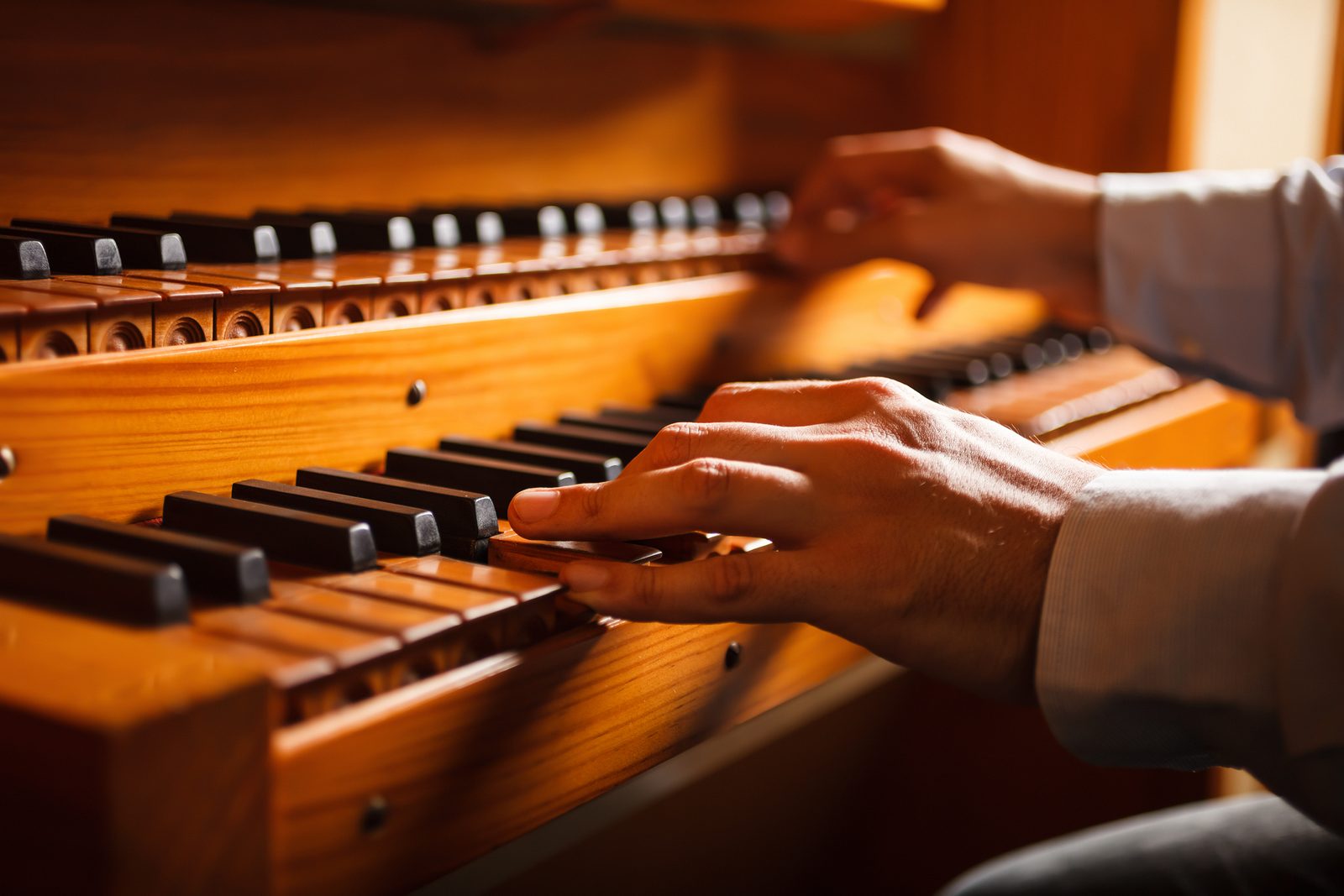 Афиша: Istoriçeskiy organ. Bah